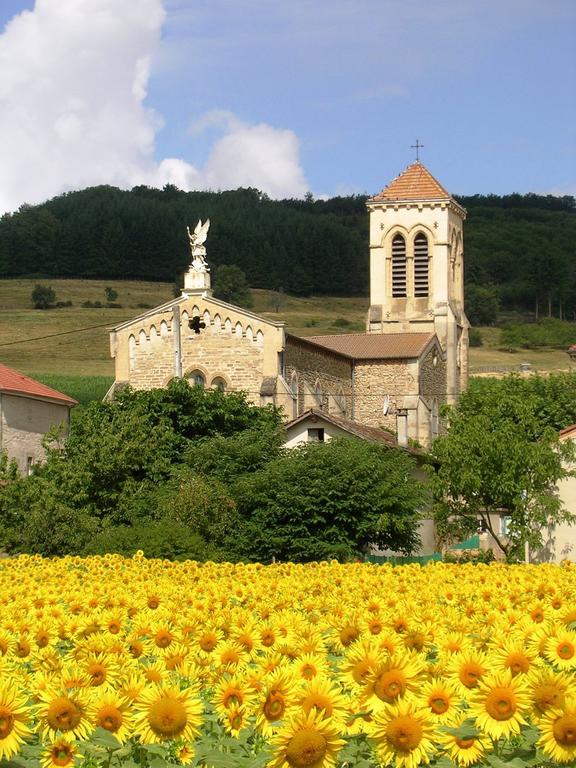Chambre D'Hotes Tardy Saint-Michel-sur-Savasse Esterno foto